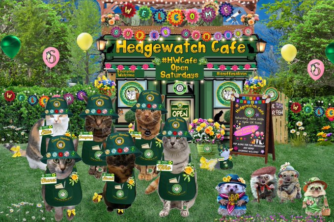 Hello All, sorry I am late but I will go extra fast to catch up with your orders.

Here are today's menus, I'm Chanel please let me know if I can assist you in any way at all!!

#HWCafe