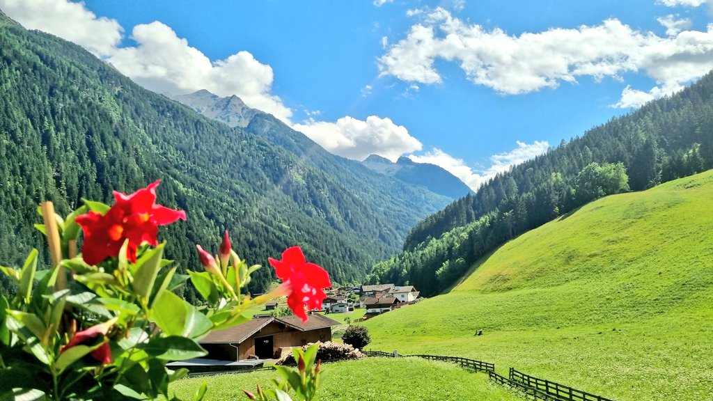 hansterbraak's tweet photo. 27gr nu op 1000m in het #Stubaital (#Neustift). https://t.co/dBRqEDE4Ua