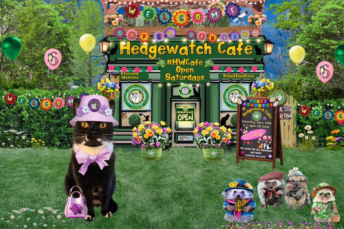 Hello furrriends,  just arrived for the #SuperSeniorsCatClub birthday party at #HWCafe
