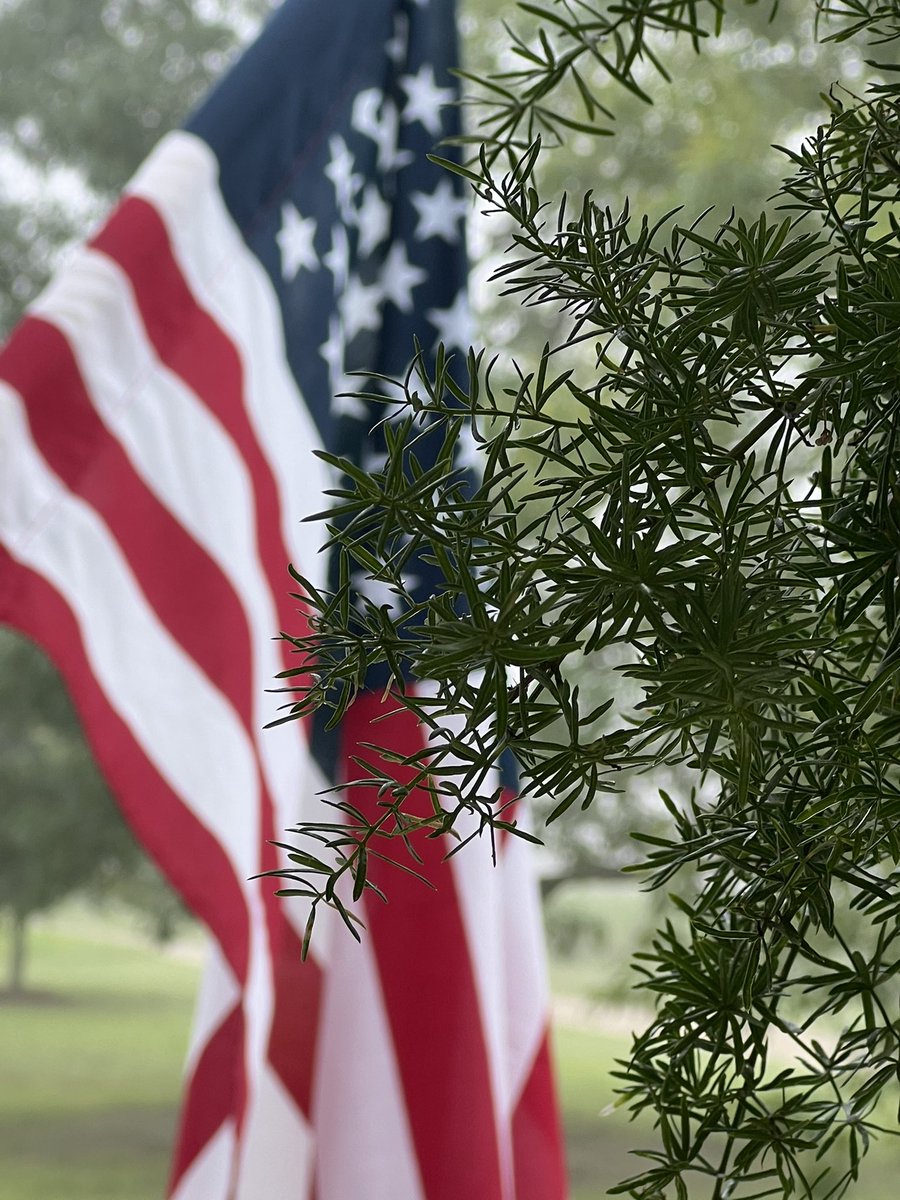 Good morning everyone ♥️🇺🇸 Happy Saturday