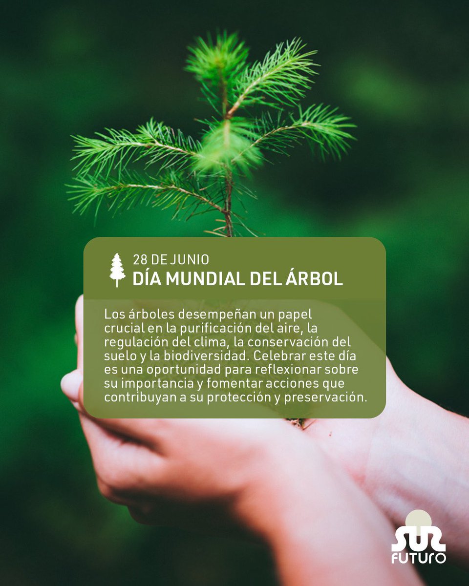 Cada árbol plantado es una promesa, una semilla de cambio.​ 

Hoy, más que nunca, en un mundo que enfrenta desafíos ambientales, plantar un árbol es un acto de esperanza, de compromiso y de amor por las futuras generaciones. ​

#SurFuturo #DíaDelArbol