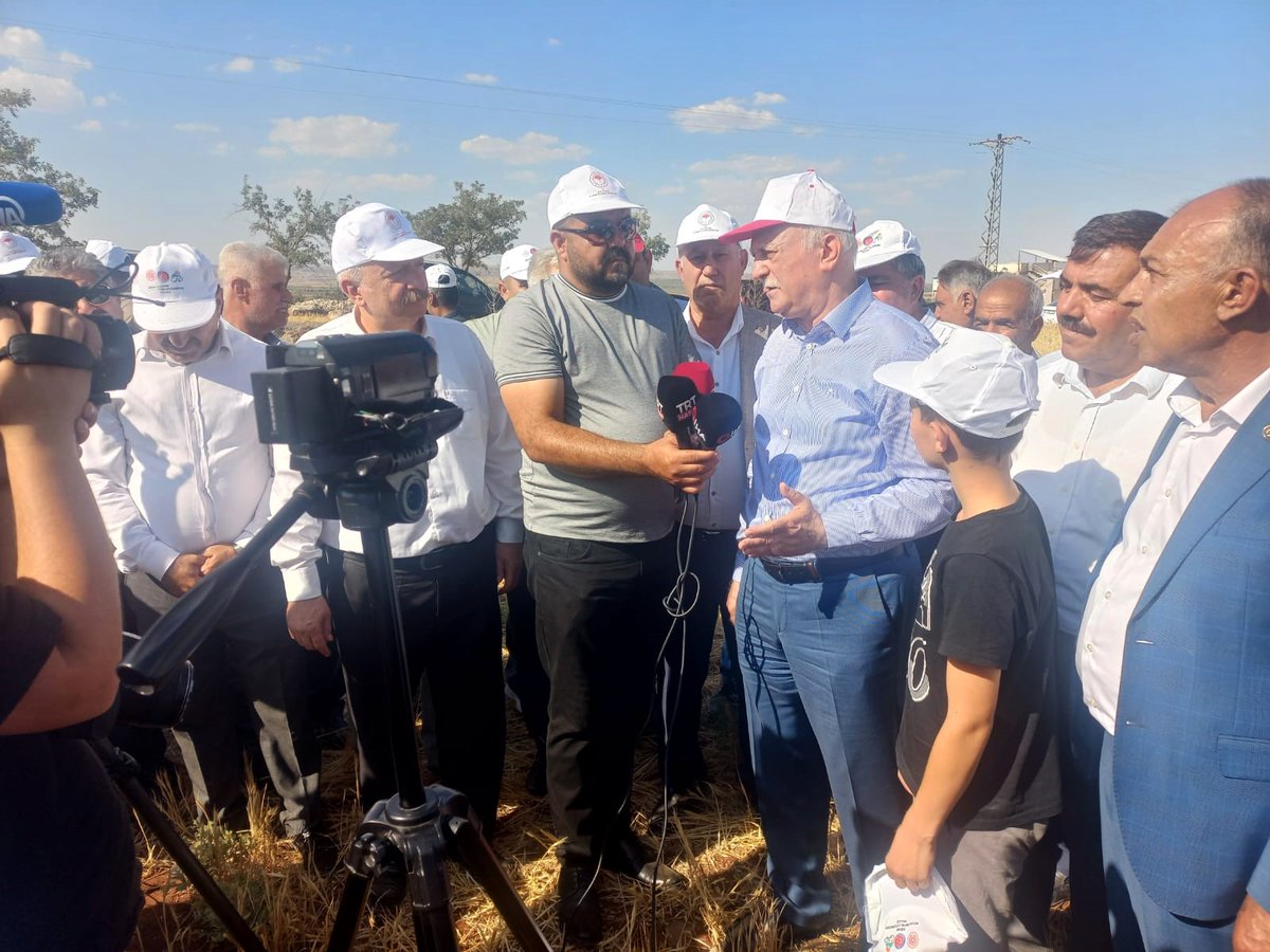 semsibayraktar's tweet photo. Kilis’te kuraklıktan zarar gören buğday tarlalarında incelemelerde bulundum. Üreticilerimizin yaşadığı sorunları yerinde gördük. Ziraat Odası Başkanlarımız ve üreticilerimizle birlikte gerçekleştirdiğimiz basın açıklamasında, yaşanan afet nedeniyle mağduriyet yaşayan çiftçilerimizin yanında olmaya devam edeceğimizi ifade ettim.