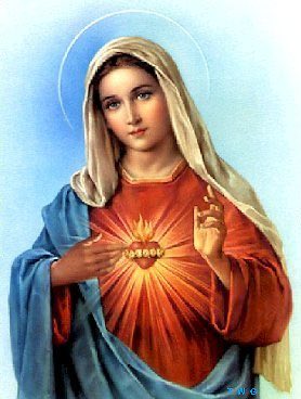 On this Feast in honour of the Immaculate Heart of Mary. May her maternal love be close to us all..