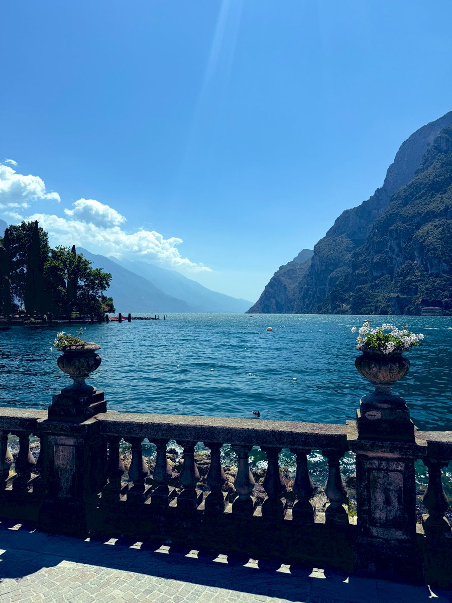 Vicki Dodge tweet media