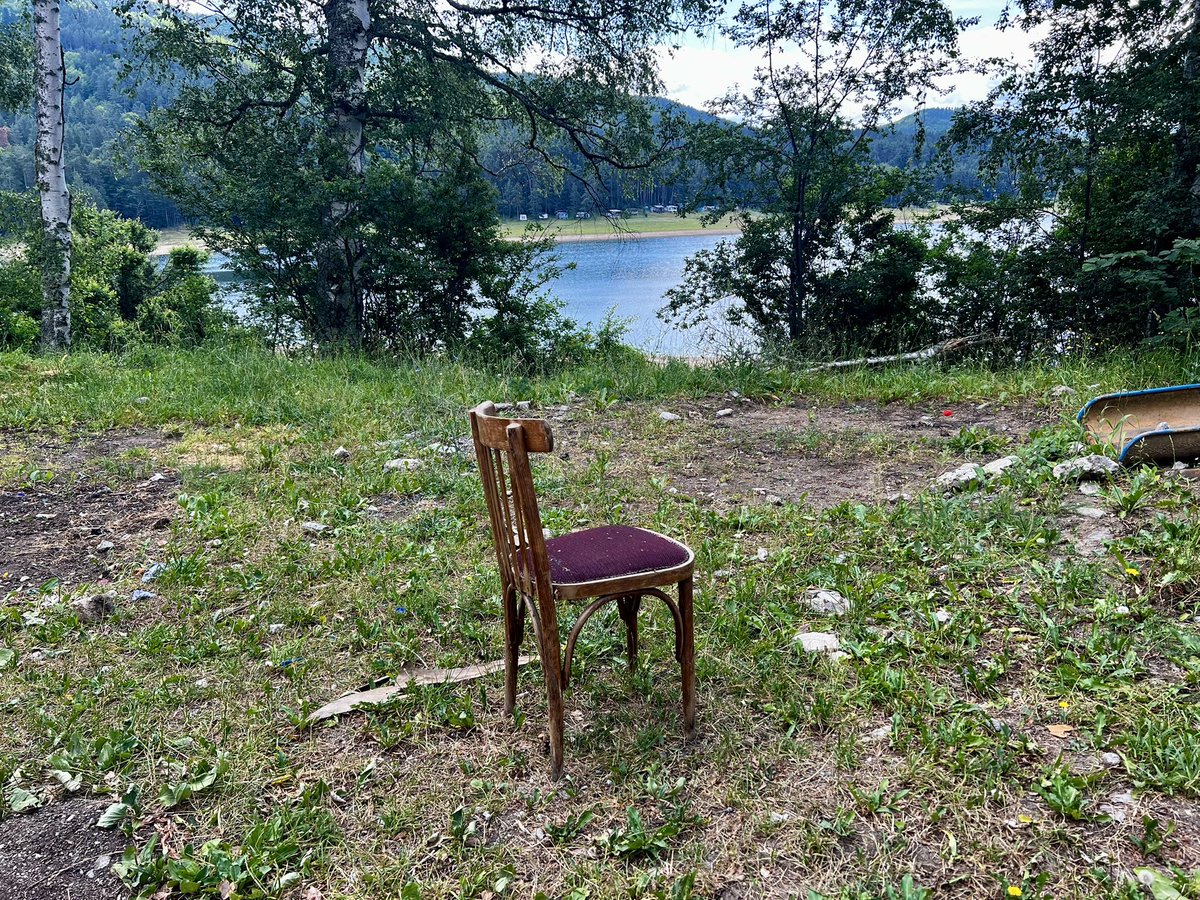 milototo's tweet image. Стая с гледка