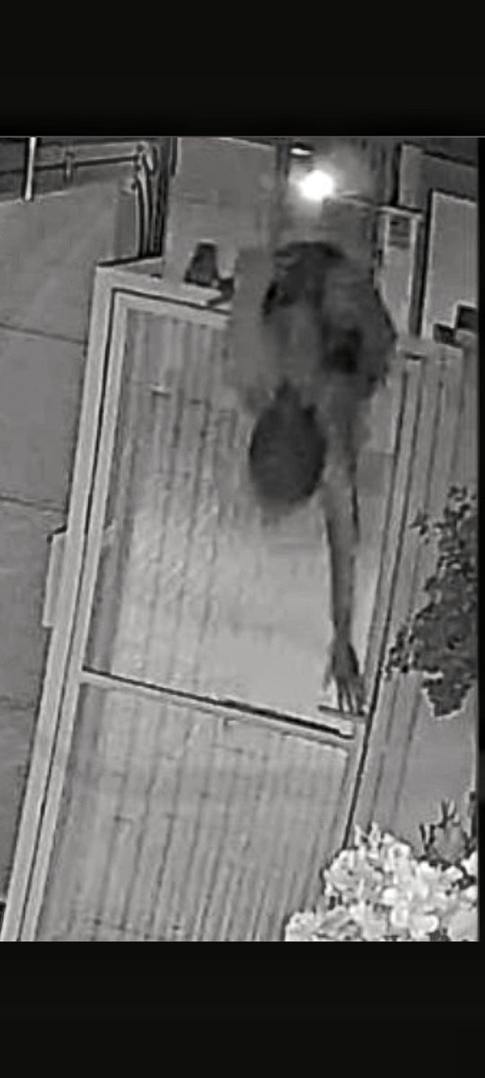 hug0nES's tweet photo. 🔴⚠️ ATENCIÓN: Robos en #ElCañaveral.

Esta madrugada han entrado en 7 chalets (con gente dentro), accediendo a garajes saltando por la puerta principal.

Suelen elegir las horas entre las 3 y 5, que son las que la gente está más dormida.

Precaución y a denunciar los afectados. https://t.co/n6J46MIore