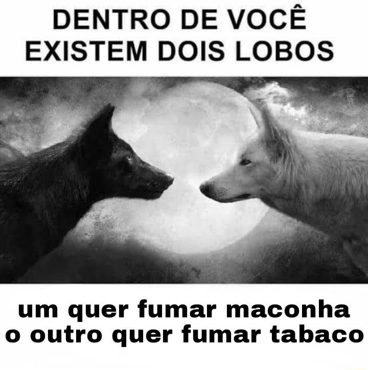 cigarrotwt🚬 (@cigarrotwt) on Twitter photo 