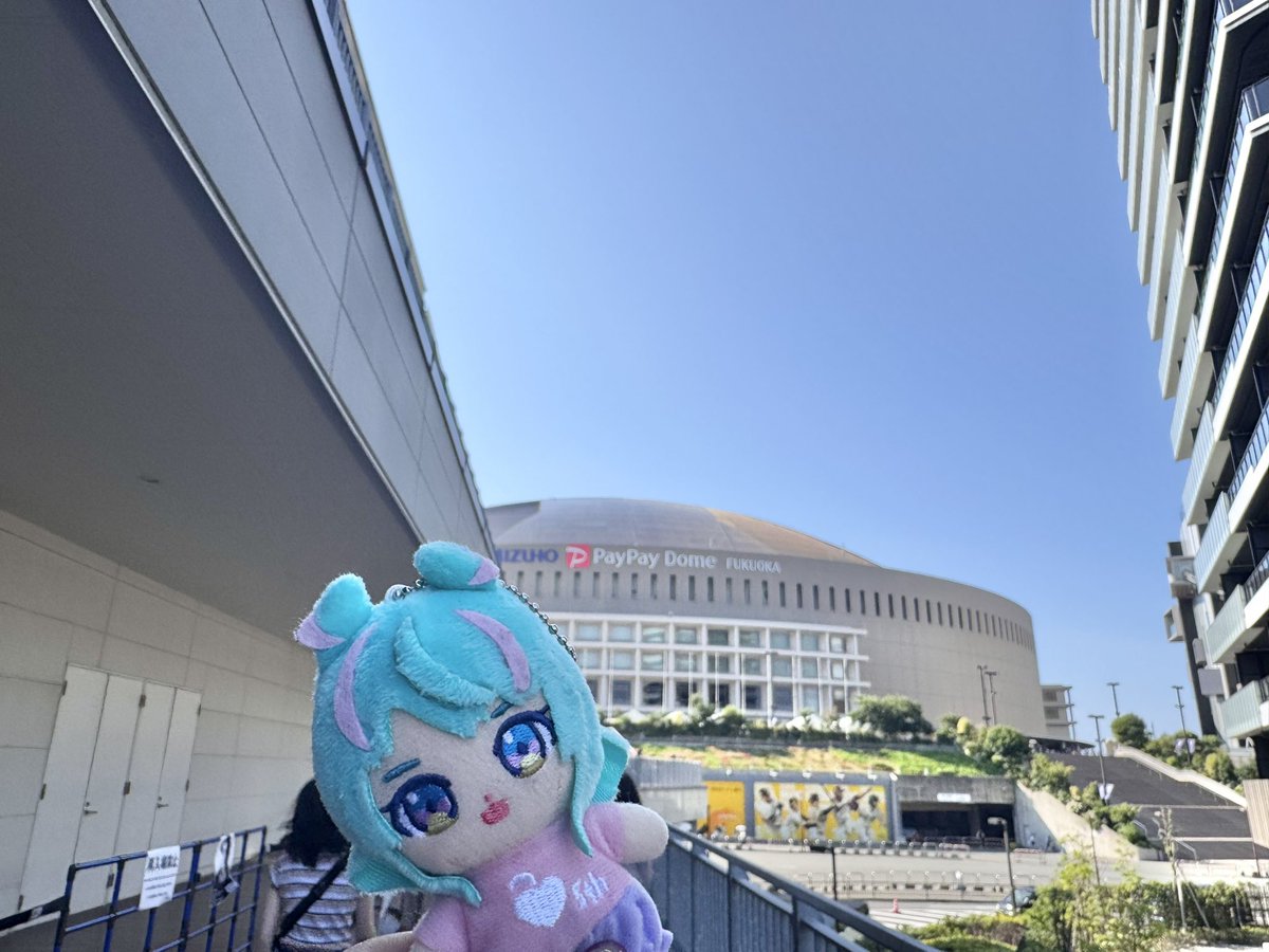 べにぬいちゃんも参戦した♬.*ﾟ
楽しかったねぇ！！！
初めて飛行機にべにぬいちゃん乗ったよ〜

#べにぬい散歩
#くらえべにまる