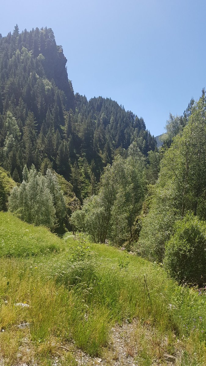 neowiffi's tweet photo. Demà Sant Pere i Sant Pau 😇 . Restes del castell i esglèsia de Sant Piri del Roc de #Tor #Alins #pallarssobira 🤩👪🐾🤩 @visitpallars @AmicsPirineu @pallarsdigital https://t.co/vNDgW7tjPJ