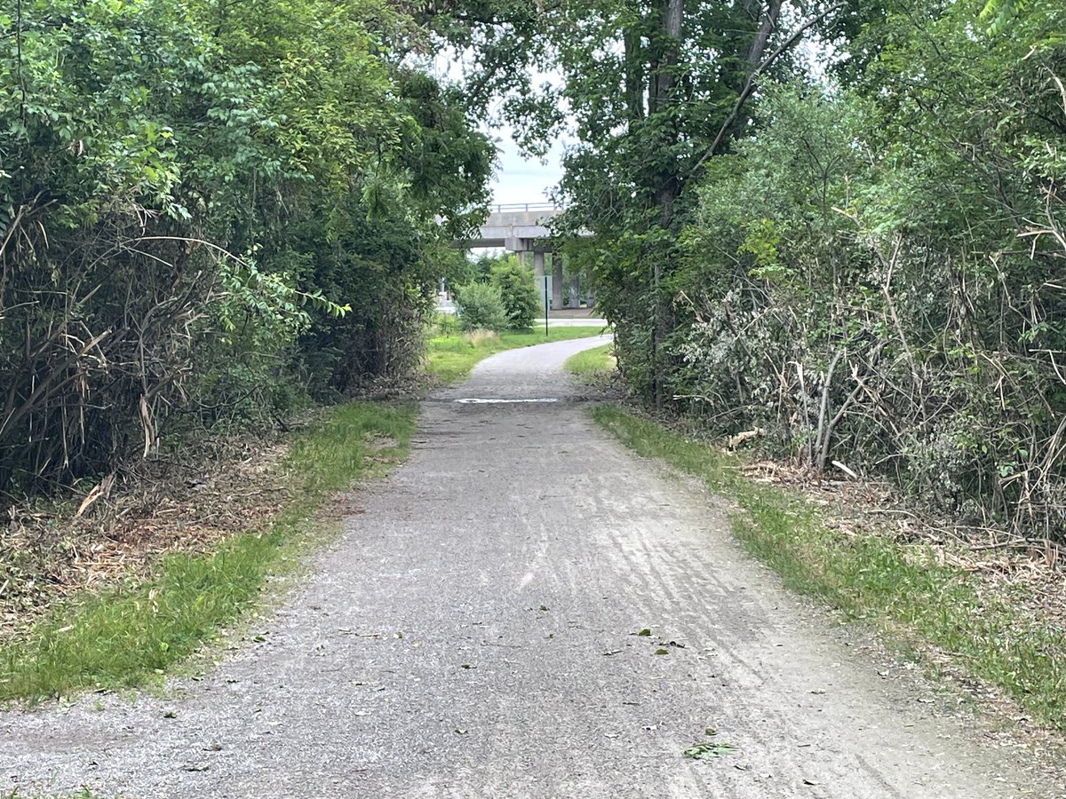 Clinton River Trail tweet media