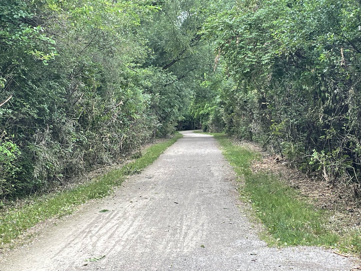 Clinton River Trail tweet media