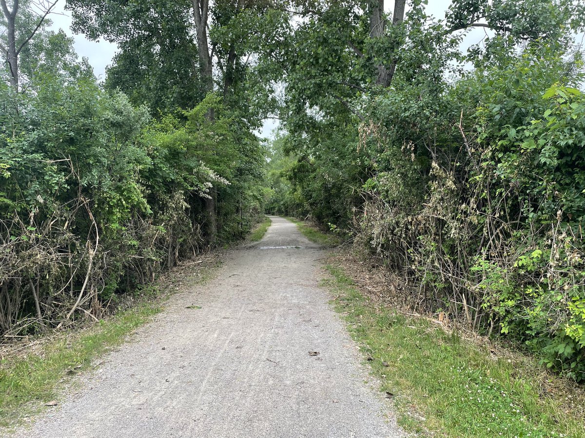 Clinton River Trail tweet media