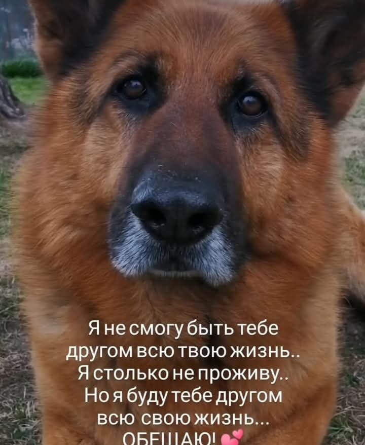 Eduard120927042's tweet photo. Вроде ничего особенного ни сказано, а у меня глаза увлажнились! 🤷‍♂️ https://t.co/977iupLtqN