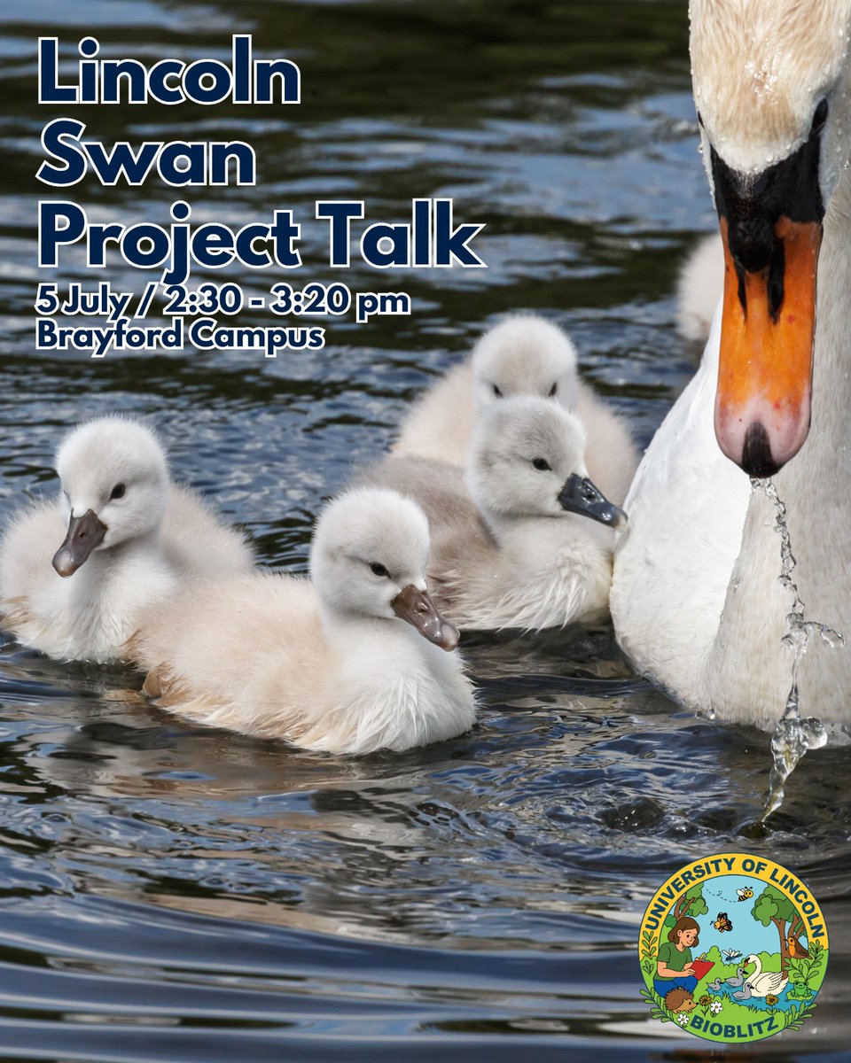 Come along and learn about the work of the Lincoln Swan Project 🦢

The University of Lincoln is hosting a BioBlitz - 24 hours of Biodiversity based events! 

Book onto the events via this link: estates.lincoln.ac.uk/bioblitz-2025/