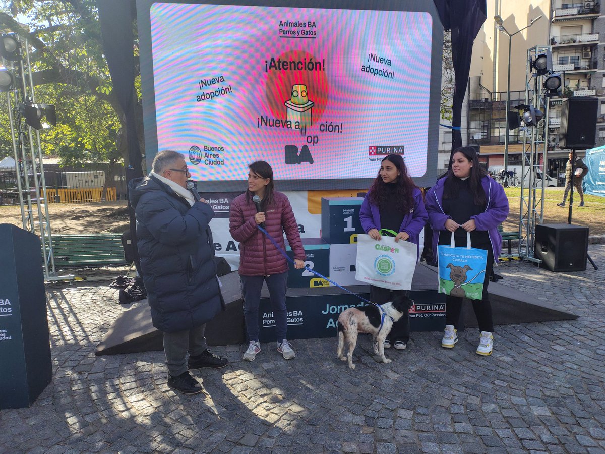 Animales BA tweet media