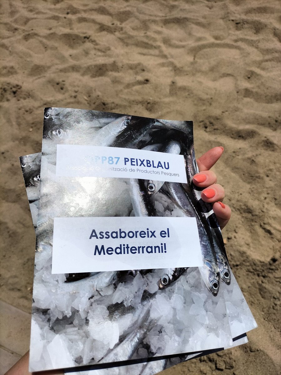 87_opp's tweet photo. Aquest estiu, l'OPP anem per les platges a explicar la bona opció que és consumir el nostre peix blau. #pesca #opp87 https://t.co/amDS1Huyn5
