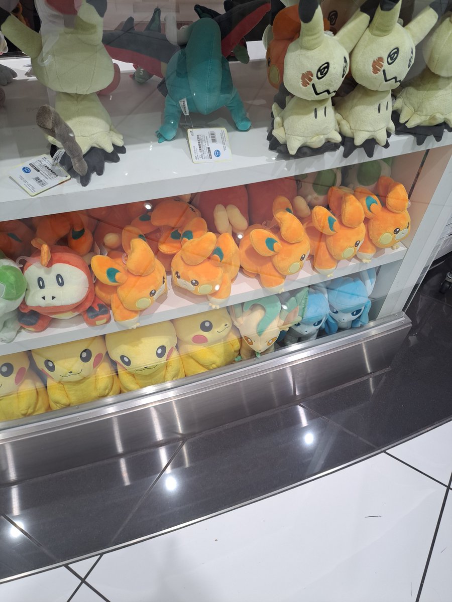 ｶﾜｲｺﾁｬﾝたち