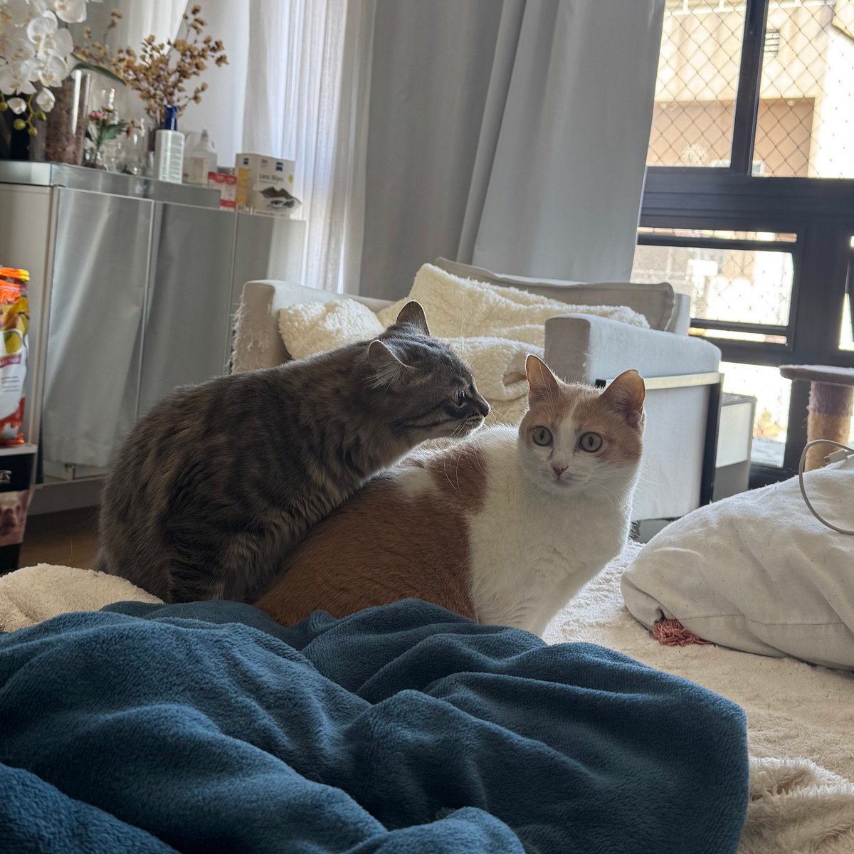 o que será que ele cochichou pra ela