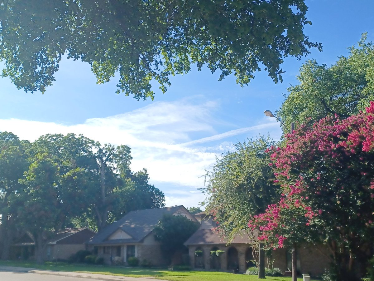 SherylPowers's tweet image. #chemtrails up and at em over #Dallas today 😠 9am cdt 6/28/25
Why are they doing this? Who's authorizing this? What are they spraying us with @GregAbbott_TX @Johnson4Dallas your families are breathing this too. #geoengineering #WeatherModification