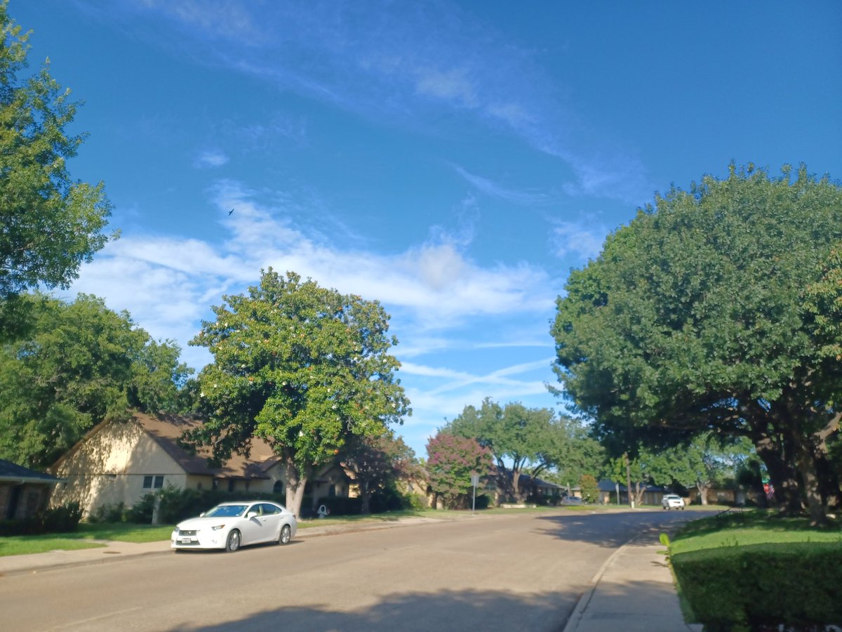 SherylPowers's tweet image. #chemtrails up and at em over #Dallas today 😠 9am cdt 6/28/25
Why are they doing this? Who's authorizing this? What are they spraying us with @GregAbbott_TX @Johnson4Dallas your families are breathing this too. #geoengineering #WeatherModification