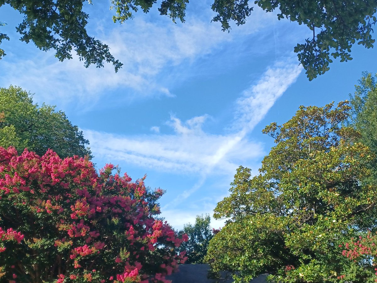 SherylPowers's tweet image. #chemtrails up and at em over #Dallas today 😠 9am cdt 6/28/25
Why are they doing this? Who's authorizing this? What are they spraying us with @GregAbbott_TX @Johnson4Dallas your families are breathing this too. #geoengineering #WeatherModification