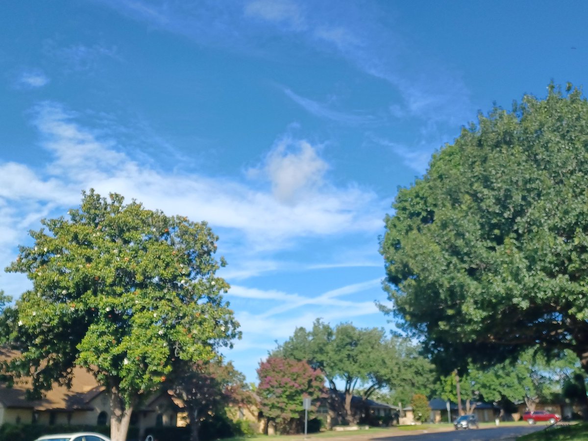 SherylPowers's tweet image. #chemtrails up and at em over #Dallas today 😠 9am cdt 6/28/25
Why are they doing this? Who's authorizing this? What are they spraying us with @GregAbbott_TX @Johnson4Dallas your families are breathing this too. #geoengineering #WeatherModification