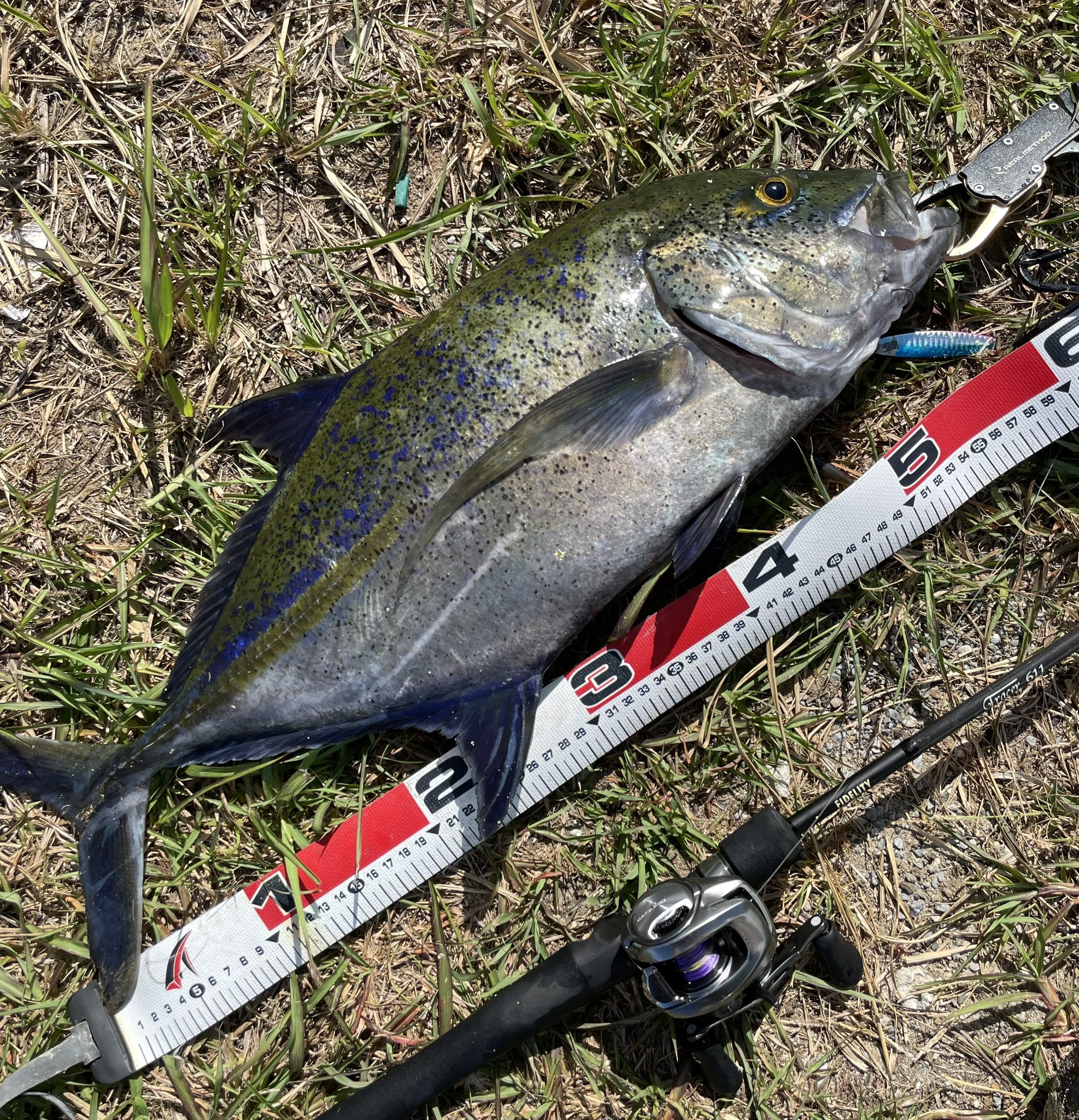 フィデリティー アズサ　70L フィッシングギャング　沖縄　ルアー フィデリティー アズサ 70L フィッシングギャング 沖縄 ルアー