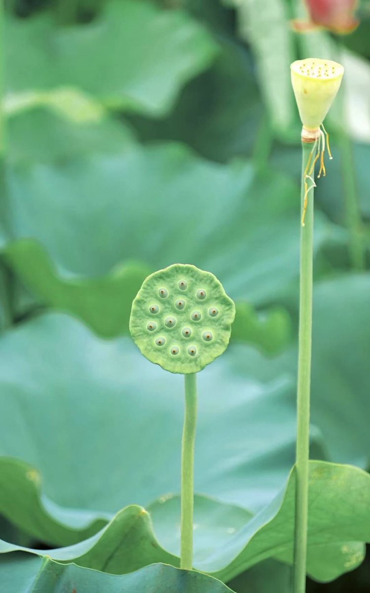 Happy Lee🇨🇳(互fo) tweet media