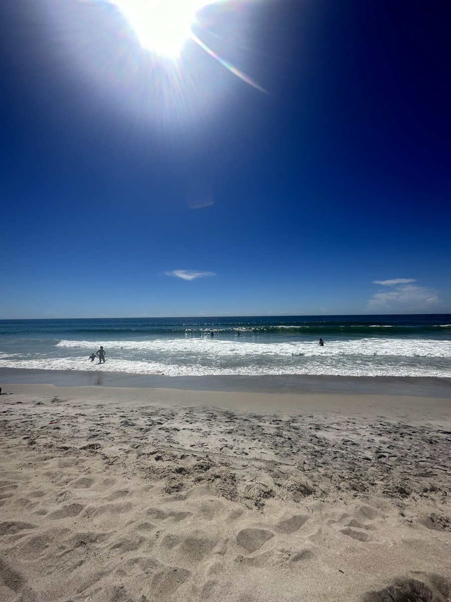 Another great day to be a Seahawk ‼️

#ourbeachisbetter