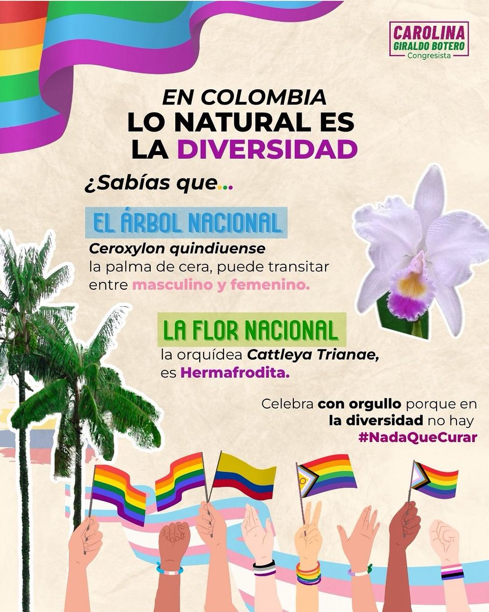 Carolina Giraldo Botero 🏛️🇨🇴 tweet media