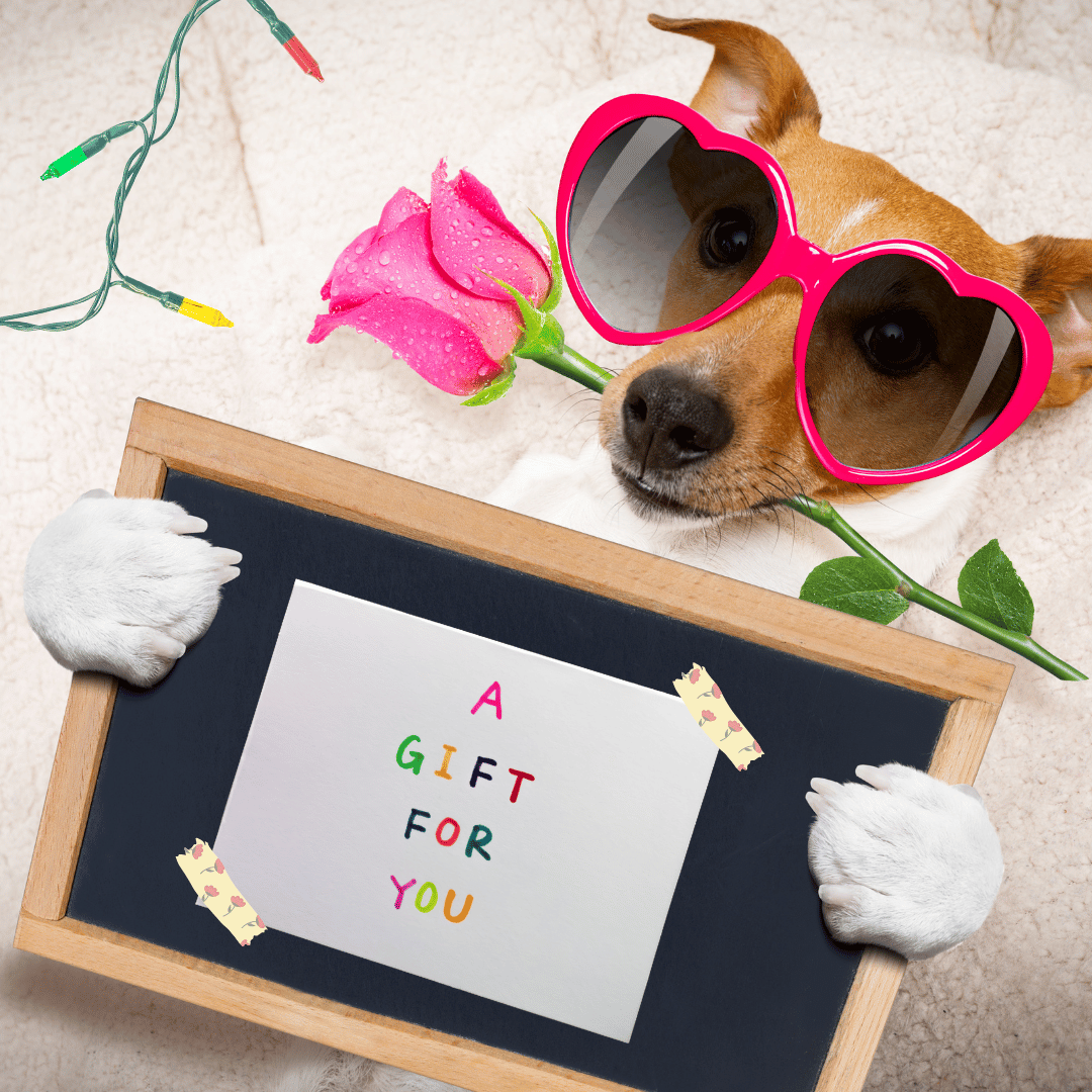 The PreK-K ASL Resources You’ve Been Waiting For - mailchi.mp/aslteachingres…