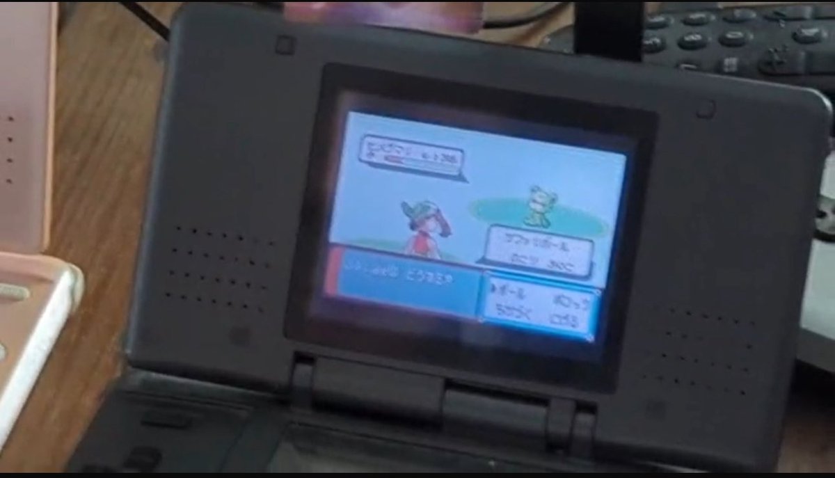 xGlumpf's tweet image. Shiny Teddiursa After 7206 REc Phase 9 for Miltank #SafariWeek25 #SafariLan2025