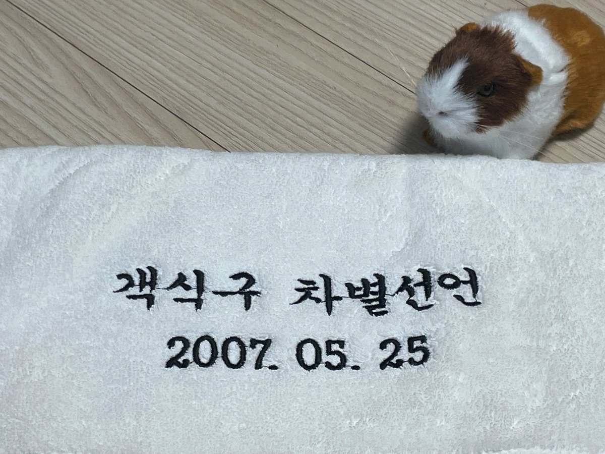 #RT 추첨 두 분께 
𓊆객식구 차별선언𓊇 제작 수건을 보내드립니다.ᐟ

⍤⃝ 국내 주소 한정
⍤⃝  7 / 5 추첨 예정