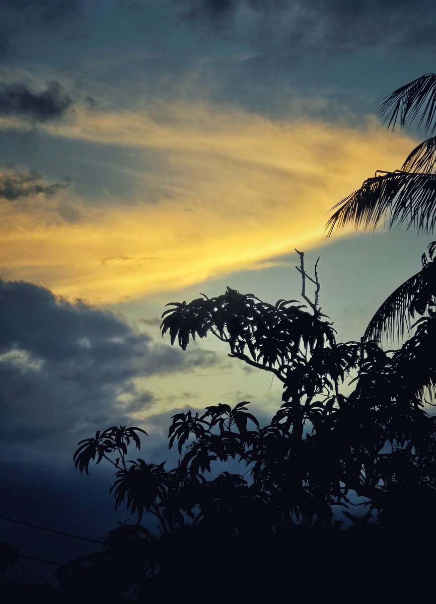 Fatu2024's tweet photo. ঠিক সন্ধ্যে নামার মুখে, তার নাম ধরে কেউ ডাকে💭 https://t.co/3lmwWSghCp