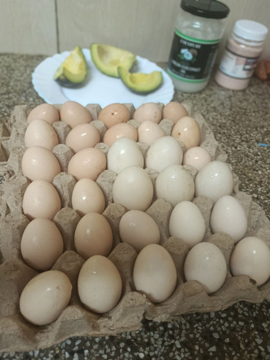 amerix's tweet image. I have collected enough eggs for this week's OMAD from my farm.

The poultry is free range or grass-fed.

When you eat free-range eggs, you will never eat these plastic eggs in the market again.  

However, here is the point:

Create your own freedom:

• Land

• Food

•…