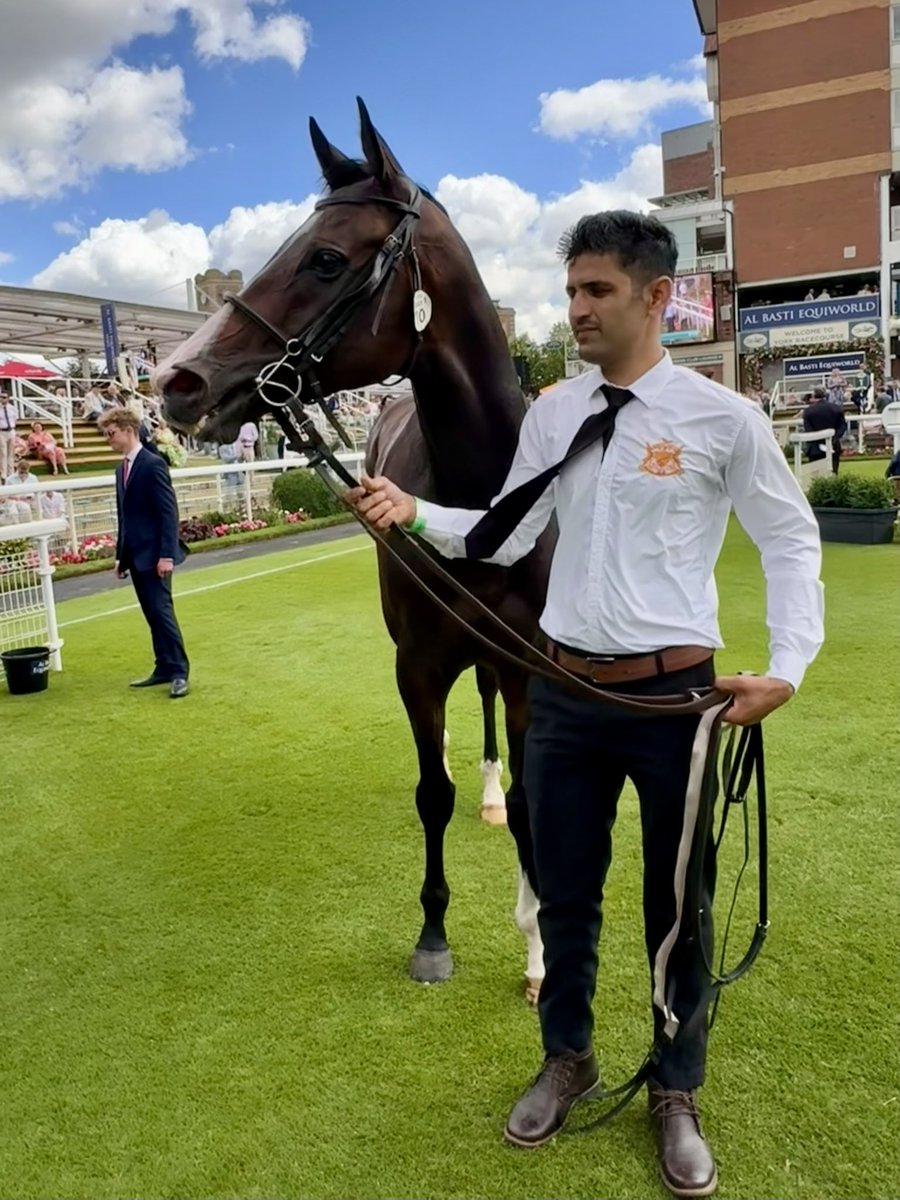 Tim Easterby Reality Partners (@tde_syndicates) on Twitter photo A great run by Barley to finish 2nd 🥈<a href="/yorkracecourse/">York Racecourse</a> under a super ride by Jason Hart. #RealityPartners #TimEasterby A great run by Barley to finish 2nd 🥈<a href="/yorkracecourse/">York Racecourse</a> under a super ride by Jason Hart. #RealityPartners #TimEasterby