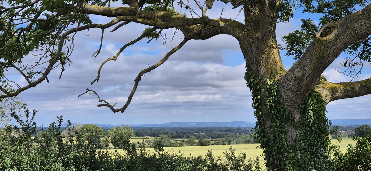 Saturday slow and steady short run 👟