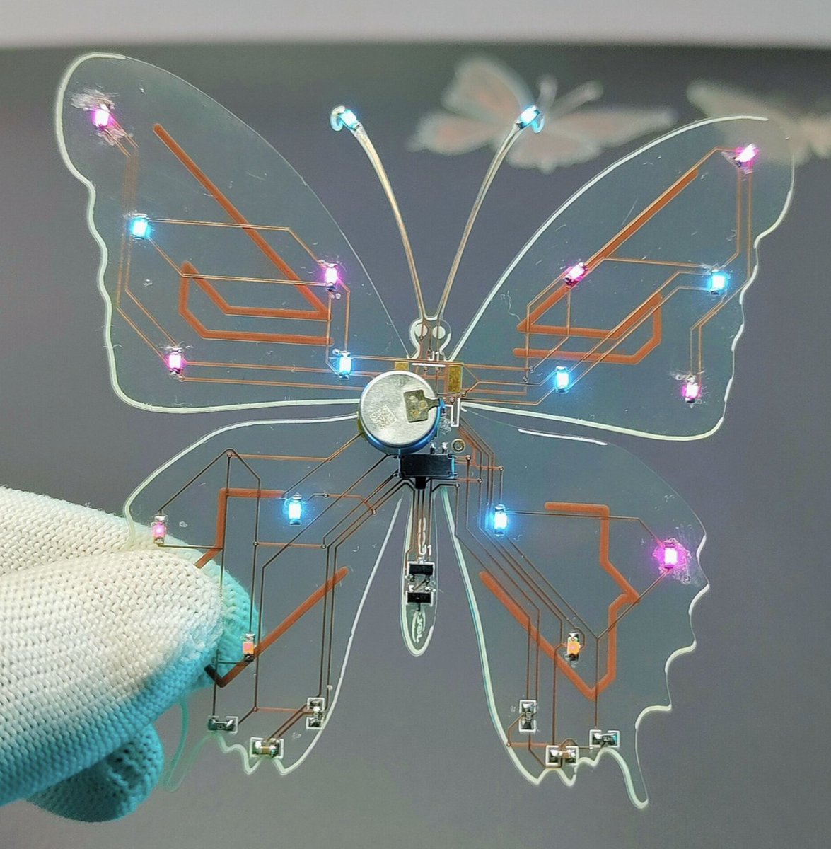 Tom Stokes tweet media