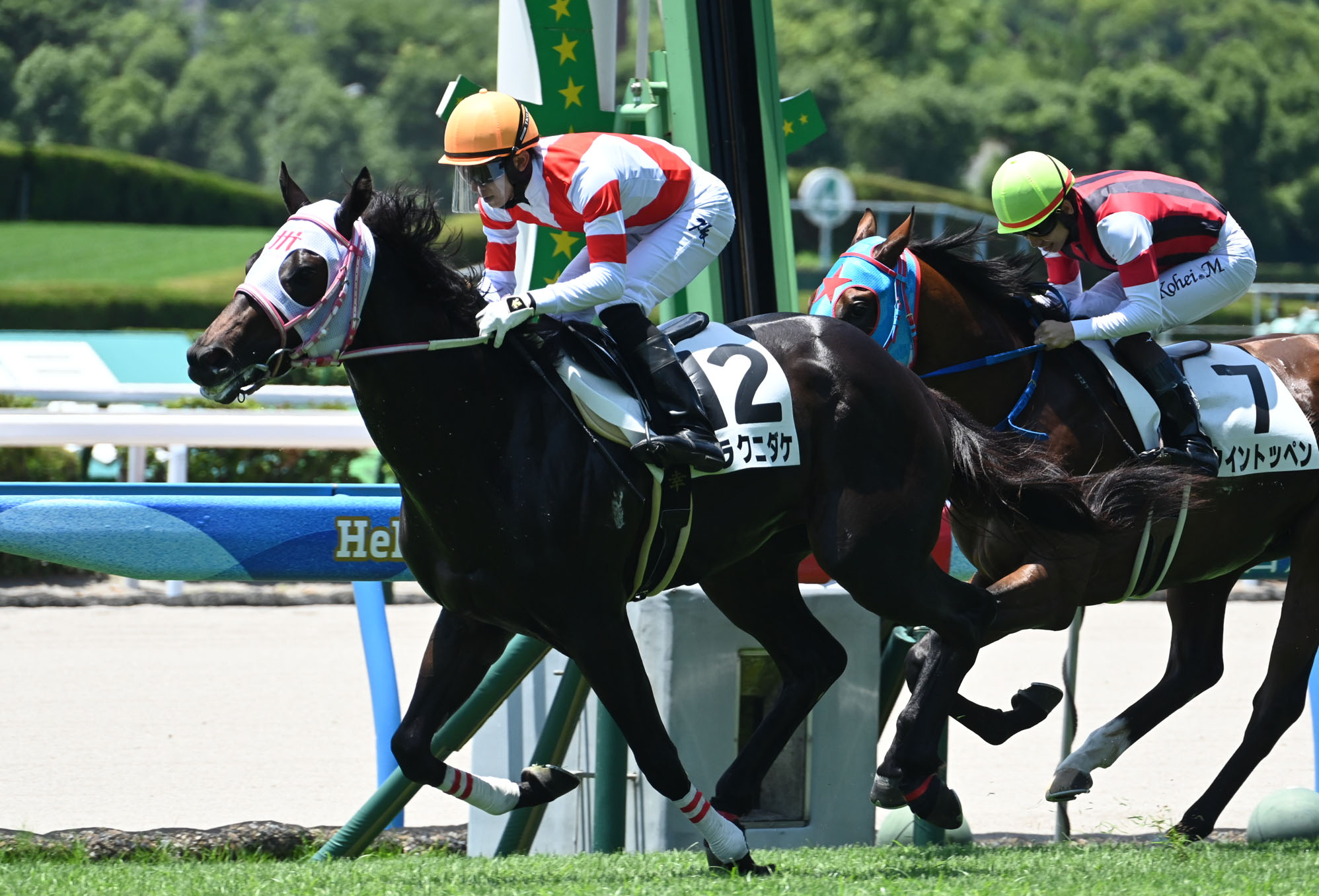【期限切れ単勝馬券】　2歳新馬　ゴールドアリュール Amazon.co.jp: セントライト 第4回菊花賞 単勝馬券型 カード