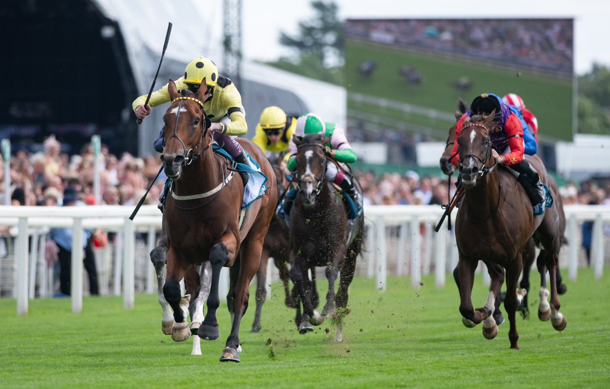 Potentially seen a very good type on debut at York. 

HANKELOW, a 2yo son of Night Of Thunder who cost 750,000 Guineas as a yearling, wins the Al Basti Equiworld Dubai Novice Stakes under Clifford Lee for trainer Karl Burke in good style. 

One for the notebook.