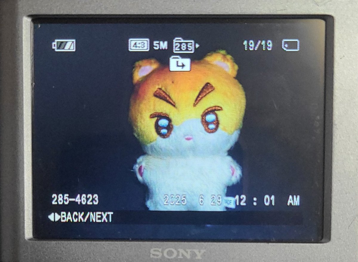 감성 있는 햄구