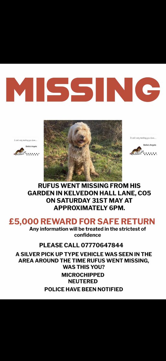 Chappers2013's tweet photo. 🚨 #rufus is still missing 🚨 https://t.co/O1DlLaXkRu
