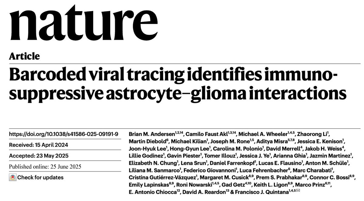 Jun Kim (@jun_kiim) on Twitter photo Just published in Nature (June 2025), Andersen et al. (<a href="/EAChiocca/">E. Antonio Chiocca, MD, PhD, FAANS</a>, Reardon, <a href="/QuintanaLabHMS/">Fran Quintana Lab</a>) developed a novel viral barcode interaction-tracing (RABID-seq) platform, uncovering previously unknown immunosuppressive interactions between astrocytes and glioblastoma (GBM) cells. Just published in Nature (June 2025), Andersen et al. (<a href="/EAChiocca/">E. Antonio Chiocca, MD, PhD, FAANS</a>, Reardon, <a href="/QuintanaLabHMS/">Fran Quintana Lab</a>) developed a novel viral barcode interaction-tracing (RABID-seq) platform, uncovering previously unknown immunosuppressive interactions between astrocytes and glioblastoma (GBM) cells.