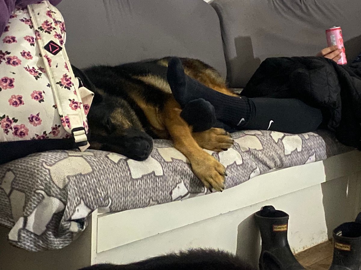 RpdDixie's tweet image. We were very lucky to have a night out at our friends van , with a bbq ๐ญGod mum can yap , i see what they had to drink so much โฆ they didnโt go to sleep till 3am , we are all exhausted ๐ด but was lovely to have a little adventure away all of us together ๐๐พ