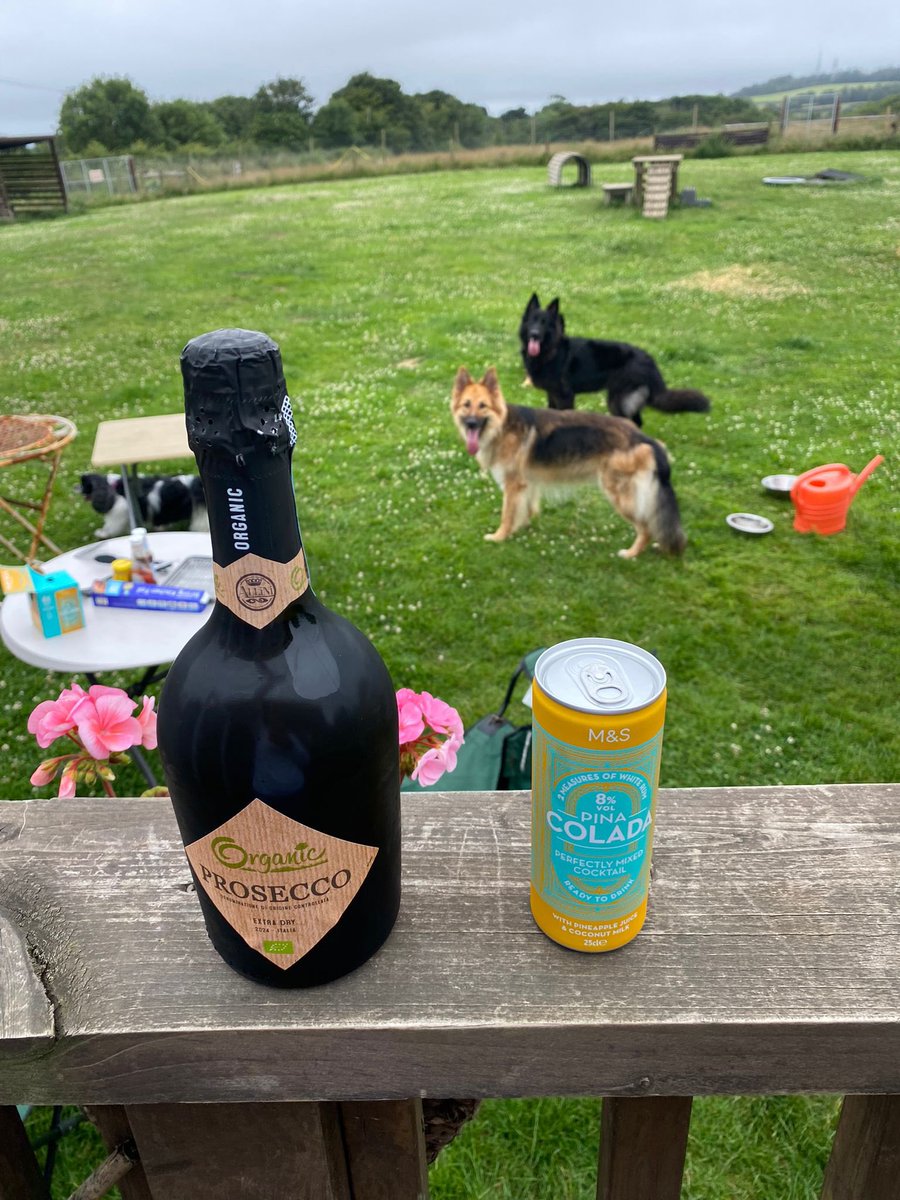 RpdDixie's tweet image. We were very lucky to have a night out at our friends van , with a bbq ๐ญGod mum can yap , i see what they had to drink so much โฆ they didnโt go to sleep till 3am , we are all exhausted ๐ด but was lovely to have a little adventure away all of us together ๐๐พ