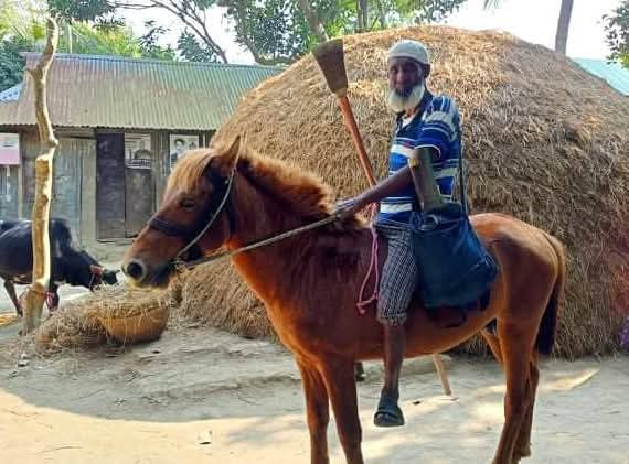 ঘোড়ার শোক নিয়েই চলে গেলেন গোরখোদক মনু মিয়া