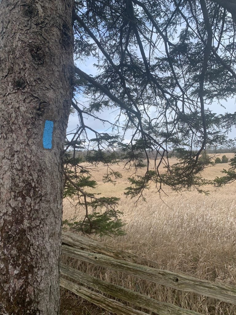 Toronto Bruce Trail tweet media