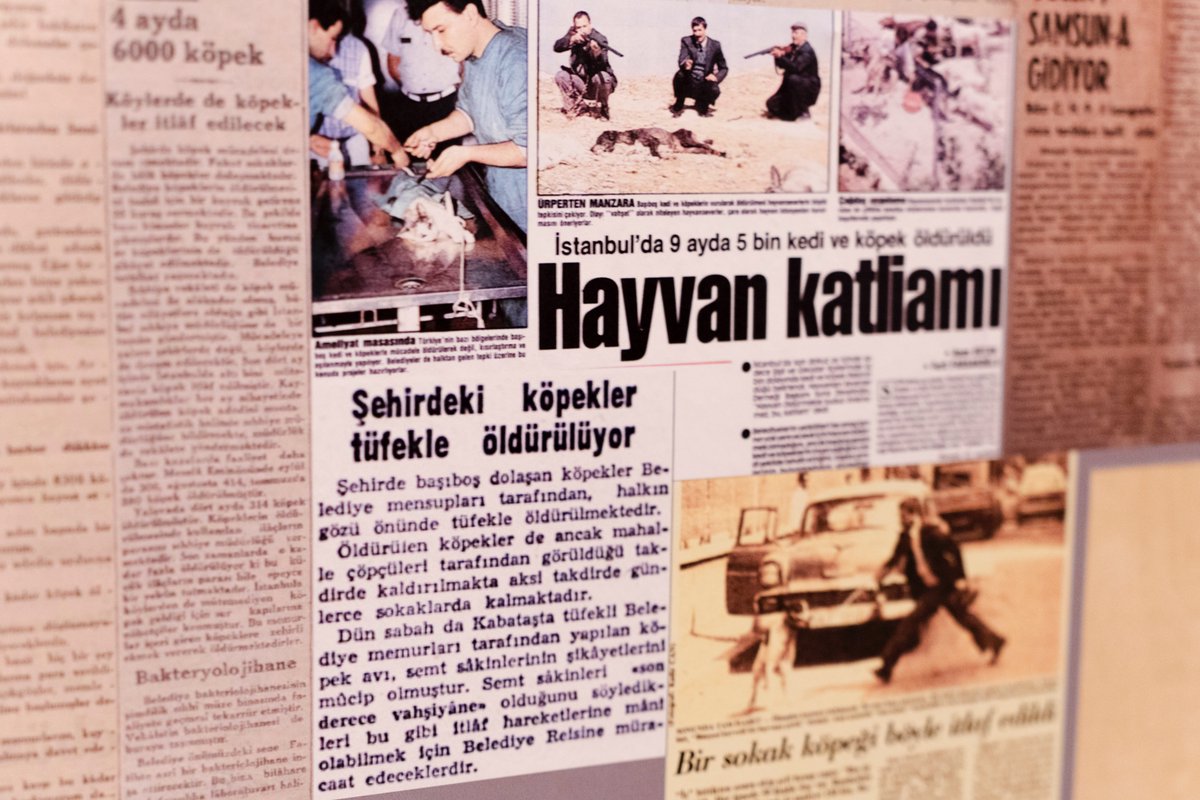 muzirorg's tweet photo. Hayvanların Yaşamı, kaybolan ortak yaşam kültürüne dair farkındalık yaratabilecek değerli eserlerin bir araya geldiği sergi Salt Beyoğlu'nda.
@SALT_Online 
@havvazzorlu ’nun foto haberi.
https://t.co/eScxOKnoQQ https://t.co/EVvqLbiKca