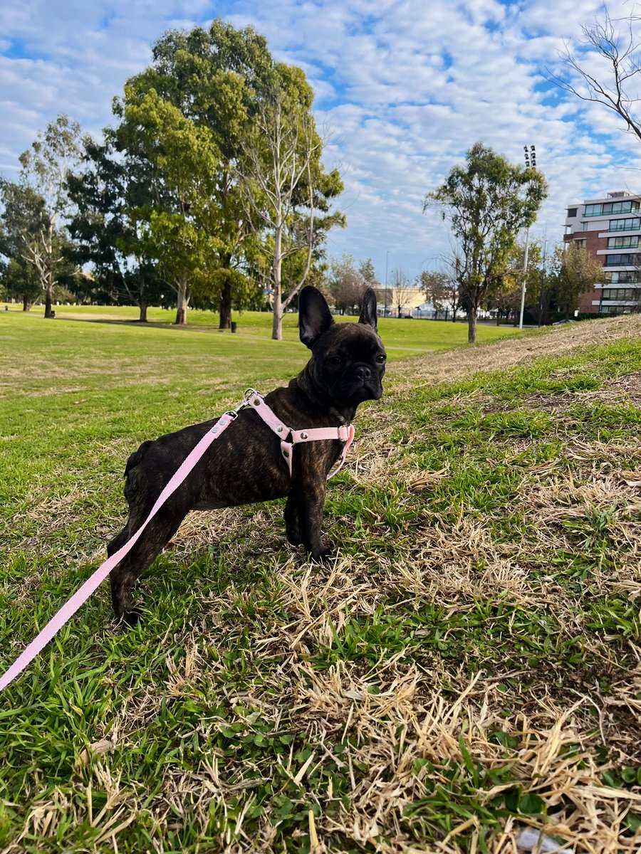 cada dia mas enamorada de mi hija🩷
