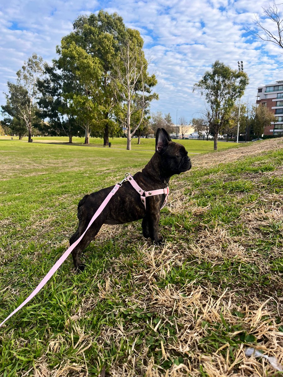 taaticevey's tweet photo. cada dia mas enamorada de mi hija🩷 https://t.co/EPO6FjtUDC